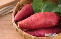红薯代替米饭可以减肥吗 红薯什么时候吃减肥效果最好