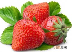 怎么判断草莓打没打激素？草莓是白色的是不是没熟