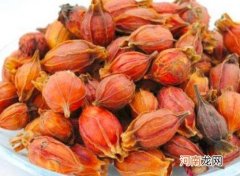 栀子泡水能过夜喝吗？栀子泡水一次放多少合适