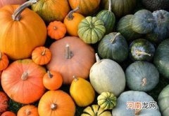 减肥可以用南瓜做主食吗？吃南瓜变黄怎么褪黄需要多长时间