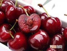 车厘子有虫吗？车厘子可以冷藏几个月吗