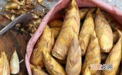 冬笋煲汤要不要焯水 冬笋放冰箱好还是放外面好