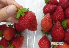 草莓红得不均匀是怎么回事？草莓吃多了尿会变红吗