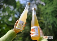 十七光年的果酒哪个味道好喝？十七光年果酒度数高吗