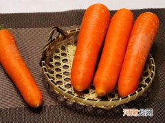 胡萝卜长白根了还能吃吗？胡萝卜榨汁了直接喝吗