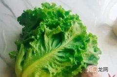 孕妇可以吃生菜吗？吃生菜有哪些功效？