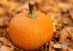 南瓜在什么情况下不能吃？蒸南瓜去皮好还是不去皮好