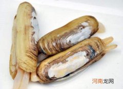 蛏子要吐沙子吗？蛏子为什么不能直接挖出来