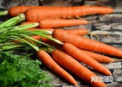 胡萝卜榨汁是生榨还是消煮熟再榨？胡萝卜为什么长白色的根