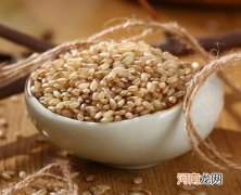 糙米泡多久才能煮饭？糙米泡过的水还要吗