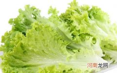 生菜可以减肥吗？生菜有点苦可以吃吗？