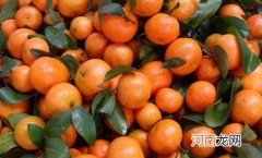 砂糖橘烤热吃会上火吗 砂糖橘能解酒吗