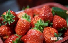 草莓吃不完可以做什么 新鲜草莓可以加热吃吗