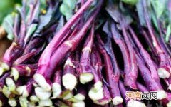 红菜苔上面的花要摘吗 红菜苔可以煮火锅吗