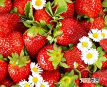 草莓冻后怎么吃好吃？草莓怎么洗才干净