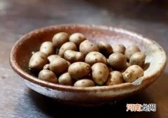山药与山药豆哪个营养高？山药豆可代替山药吗