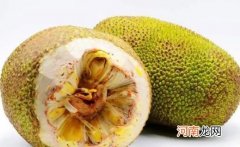 菠萝蜜一次可以吃几颗合适 剥好的菠萝蜜吃不完怎么保存