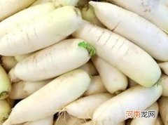 白萝卜怎么挑选没有糠心的？透明的白萝卜能吃吗