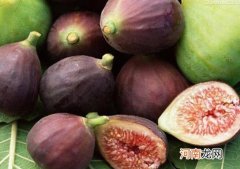 无花果的皮能吃吗？吃无花果舌头发麻怎么办