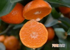 沙糖桔皮发亮是打蜡了吗？沙糖桔皮特别黏是怎么回事