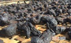 黄精是制黄精好还是生黄精好 黄精补肾效果好吗