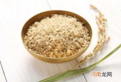 吃糙米饭真的可以减肥吗？糙米饭食用注意事项