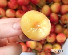 黄金车厘子是进口的还是国产的？黄金车厘子是樱桃吗