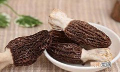 感冒可以吃羊肚菌吗？吃羊肚菌有哪些好处？