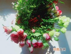 醒花要醒多少时间？醒花用温水还是凉水