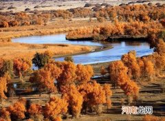 返乡路过中风险地区健康码会变色吗？行程卡的工作原理