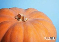 南瓜芽后播种要注意什么？南瓜怎么养产量高