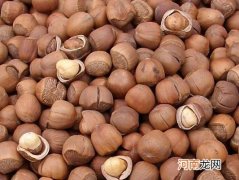 什么时候吃榛子最好？榛子吃多了有什么坏处吗