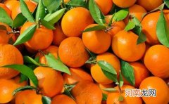 砂糖橘不能和牛奶一起吃吗 砂糖橘糖尿病患者能吃吗