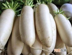 白萝卜怎么放不会空心？白萝卜没熟能吃吗