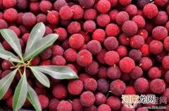 杨梅吃多了为什么牙齿会变酸，杨梅里面有小虫是怎么回事