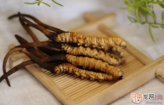 孩子可以吃冬虫夏草吗，几岁孩子能吃冬虫夏草？