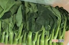 芥蓝发苦可以吃吗？芥蓝怎么做不苦？