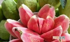 糖尿病患者可以吃芭乐吗？芭乐可以和羊肉一起吃吗？