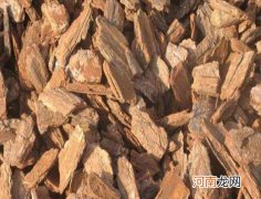 兰花植料松树皮怎么腐熟？松树皮养兰花之前怎么处理