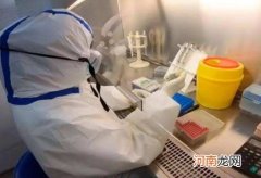 核酸检测是上高速查还是下高速查？核酸检测结果可以在网上查吗