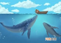 鲸鱼死后为什么会爆炸？鲸鱼会淹死吗