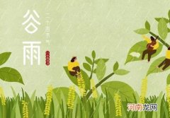 谷雨前后种什么农作物？2022年谷雨是哪一天