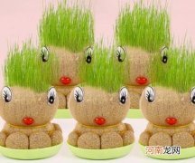 草头娃娃有什么作用？草头娃娃需要每天浇水吗