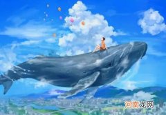 鲸鱼死后是自爆还是鲸落？鲸鱼爆炸的现象叫什么