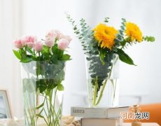 醒花后怎么养护？醒花最简单的方法