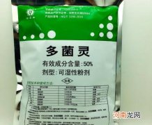 多菌灵喷多了烧叶子吗？1勺子多菌灵兑水比例是多少