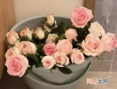 醒花的时候要不要放保鲜剂？醒花用深水还是浅水