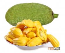 菠萝蜜种子用水泡几天能发芽？盆栽菠萝蜜什么时候结果