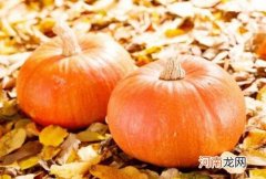 南瓜什么时候种植最合适？养南瓜要注意什么