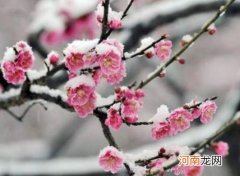 倒春寒钓鱼用什么饵料？倒春寒怎么钓鱼